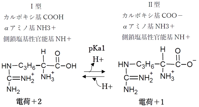 塩基性アミノ酸のリシン,アルギニン pHの変化と解離,化学種の存在比(割合),荷電,等電点